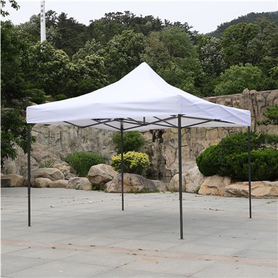 Tente à baldaquin 10x10